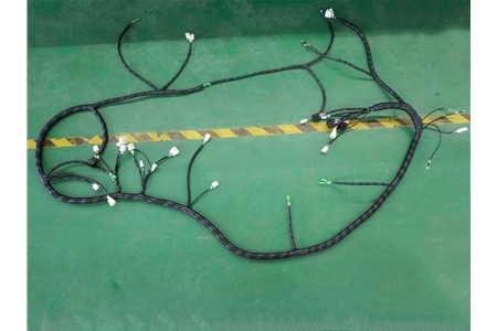 New energy class harness