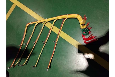 New energy class harness-1